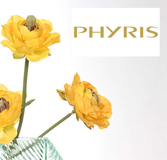 Phyris